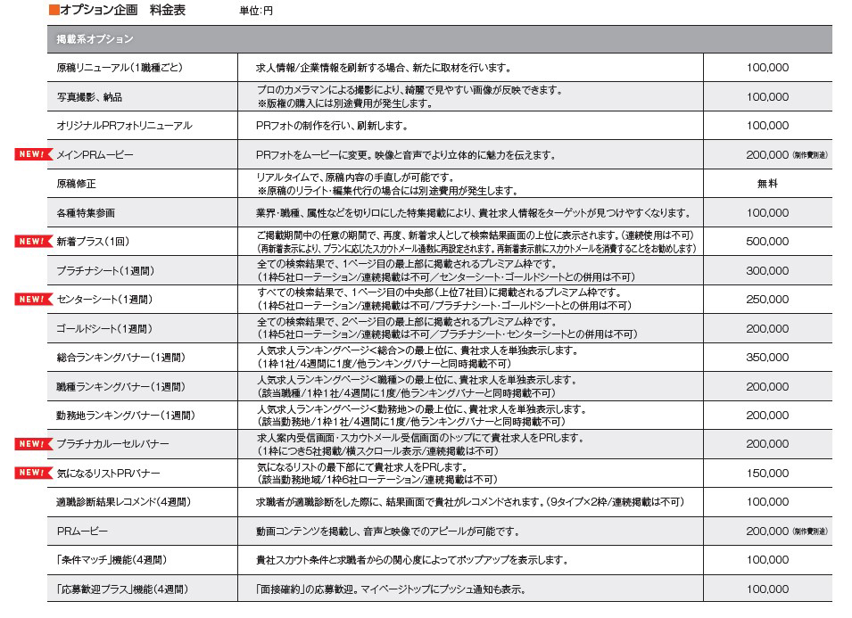 Re就活の掲載系オプション