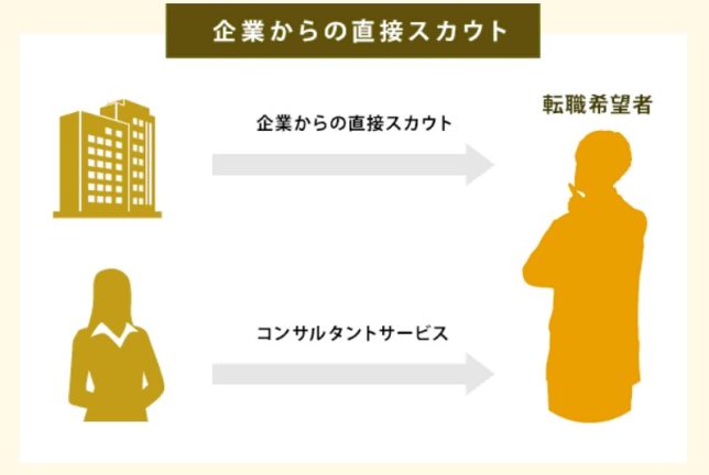 マイナビスカウティング