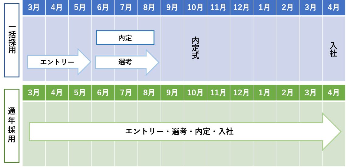 一括採用 通年採用 違い